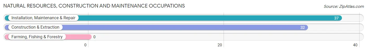 Natural Resources, Construction and Maintenance Occupations in Zip Code 12577