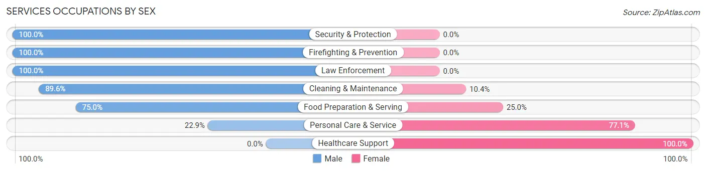 Services Occupations by Sex in Zip Code 12581