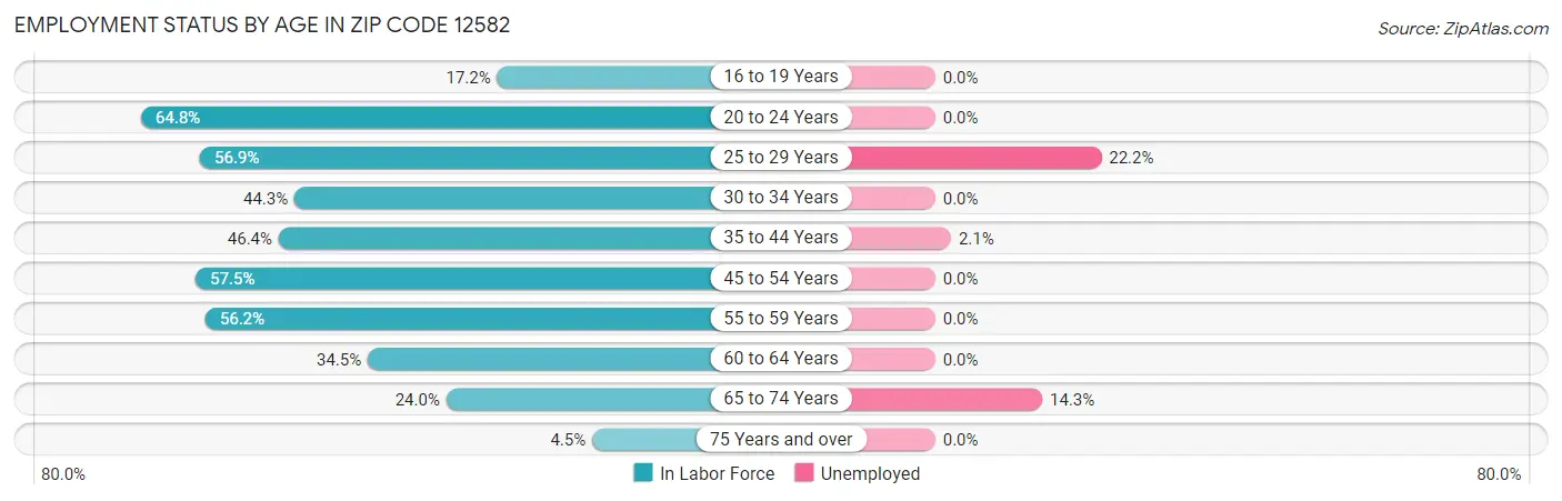 Employment Status by Age in Zip Code 12582