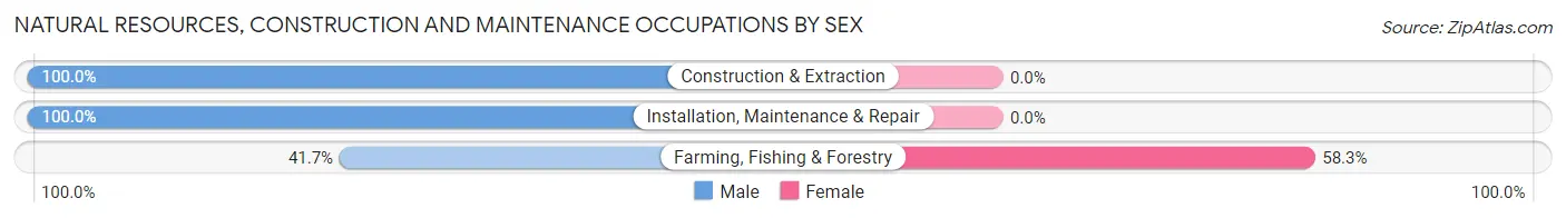 Natural Resources, Construction and Maintenance Occupations by Sex in Zip Code 12583