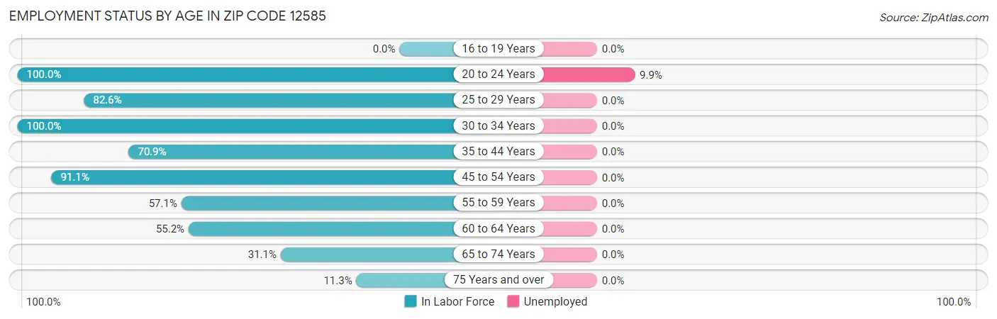 Employment Status by Age in Zip Code 12585