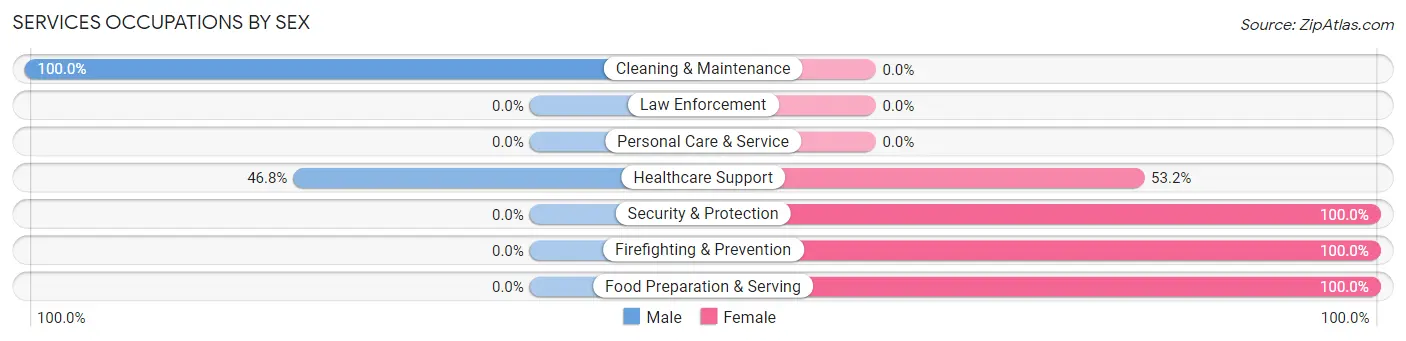 Services Occupations by Sex in Zip Code 12585