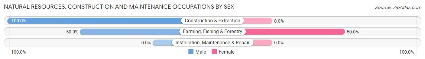 Natural Resources, Construction and Maintenance Occupations by Sex in Zip Code 12592