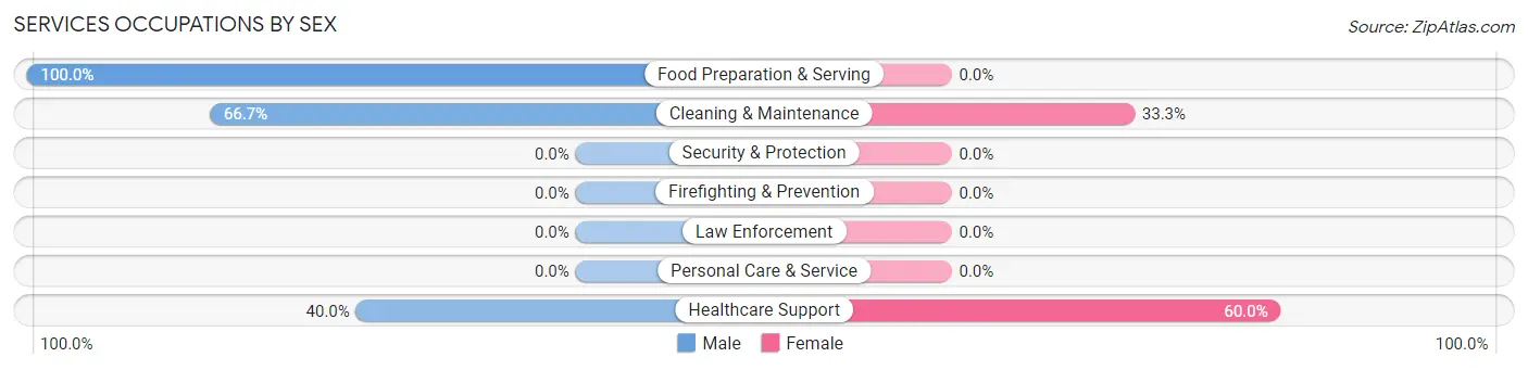 Services Occupations by Sex in Zip Code 12592