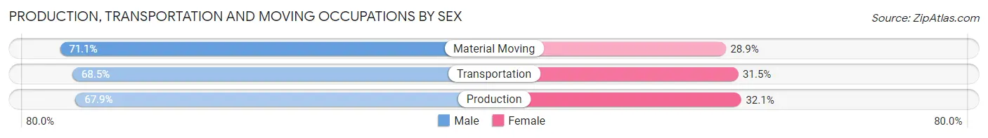 Production, Transportation and Moving Occupations by Sex in Zip Code 12601