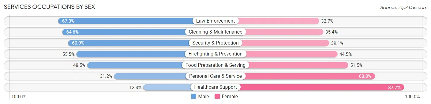 Services Occupations by Sex in Zip Code 12601