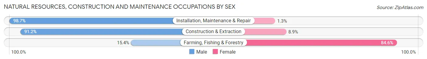 Natural Resources, Construction and Maintenance Occupations by Sex in Zip Code 12603