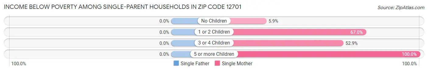 Income Below Poverty Among Single-Parent Households in Zip Code 12701