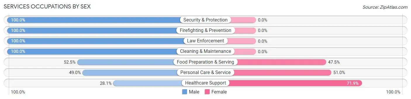 Services Occupations by Sex in Zip Code 12701