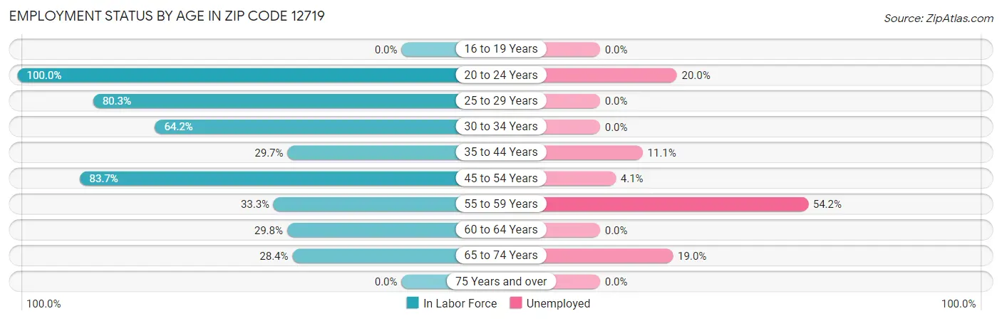 Employment Status by Age in Zip Code 12719