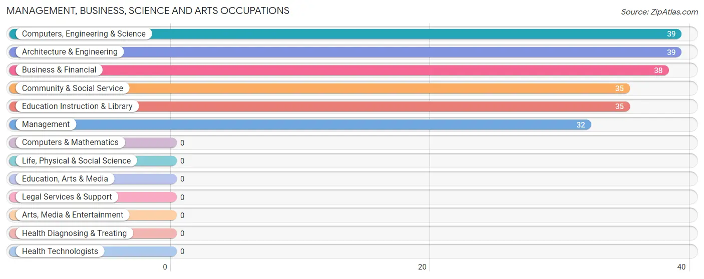 Management, Business, Science and Arts Occupations in Zip Code 12720