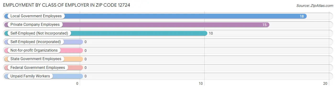 Employment by Class of Employer in Zip Code 12724