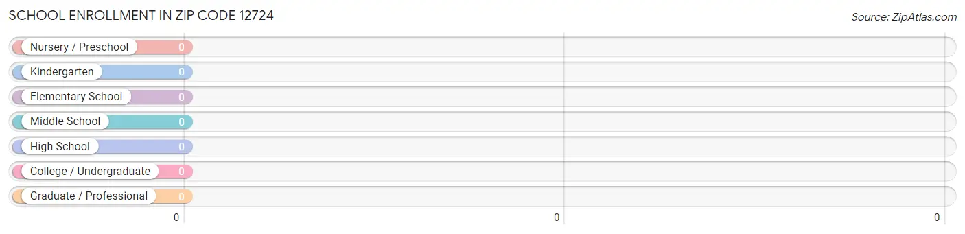 School Enrollment in Zip Code 12724