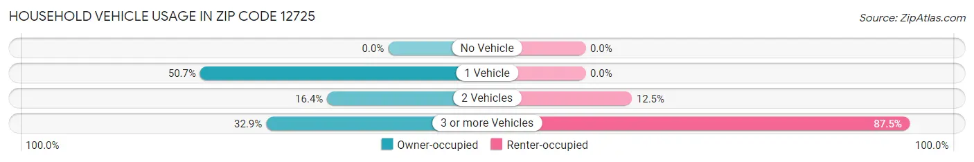 Household Vehicle Usage in Zip Code 12725