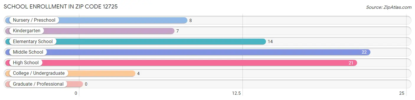 School Enrollment in Zip Code 12725