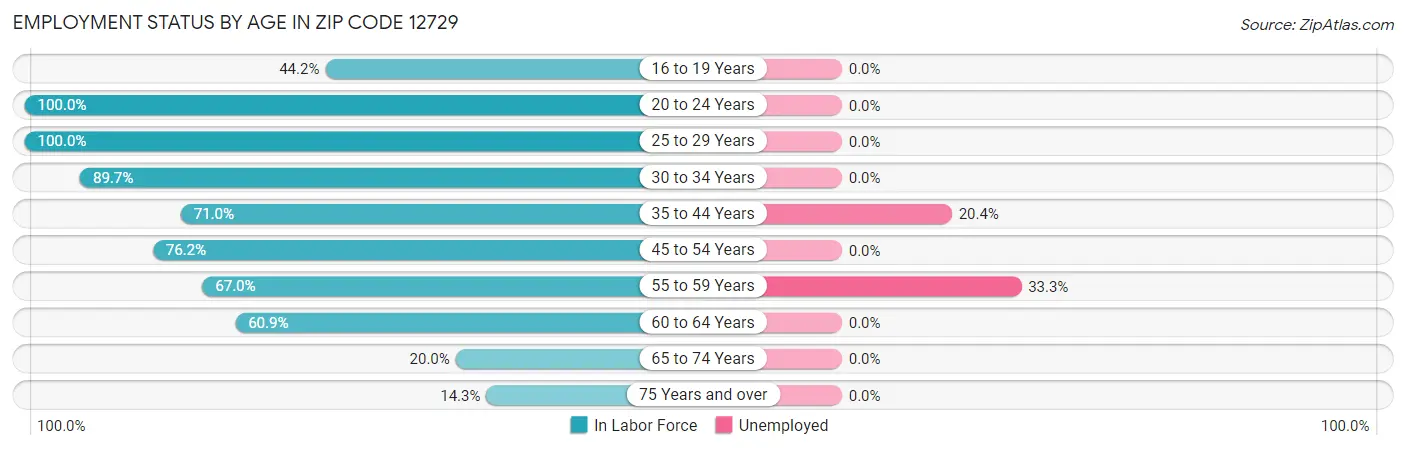 Employment Status by Age in Zip Code 12729