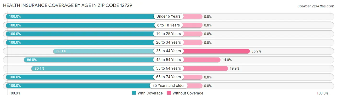 Health Insurance Coverage by Age in Zip Code 12729