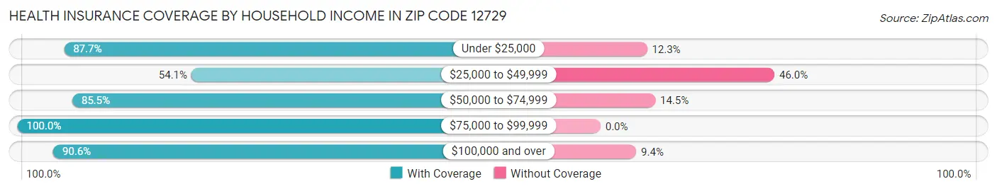 Health Insurance Coverage by Household Income in Zip Code 12729