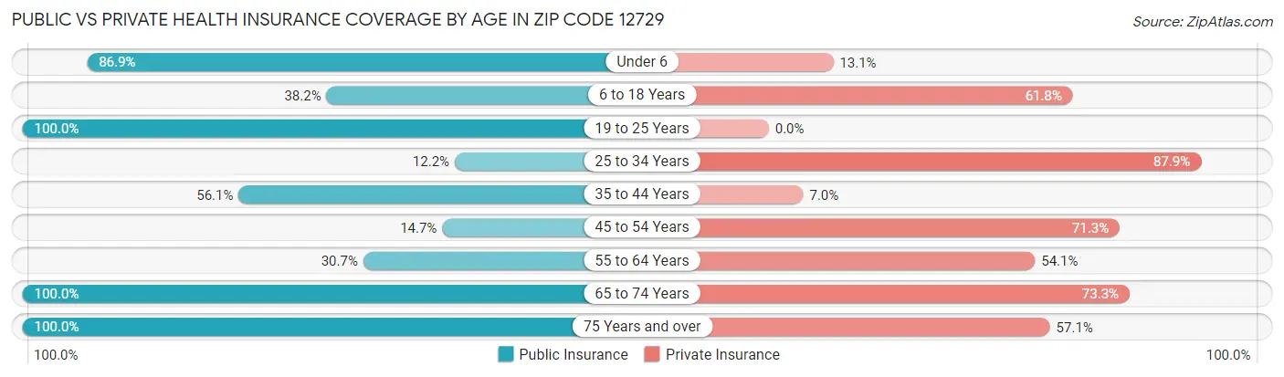 Public vs Private Health Insurance Coverage by Age in Zip Code 12729
