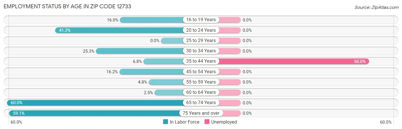 Employment Status by Age in Zip Code 12733