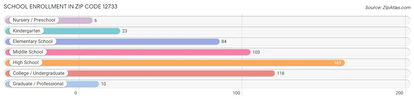 School Enrollment in Zip Code 12733