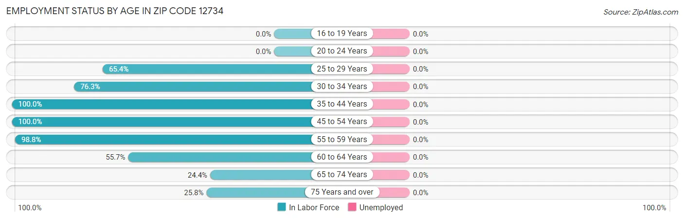 Employment Status by Age in Zip Code 12734