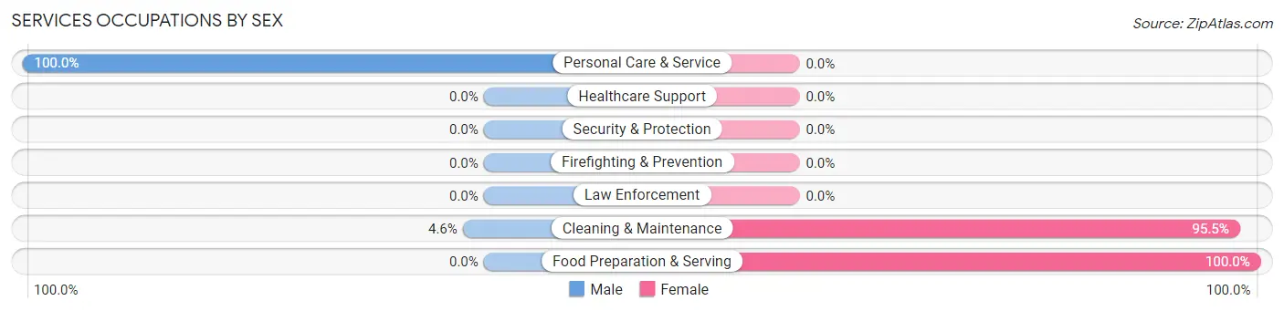 Services Occupations by Sex in Zip Code 12734