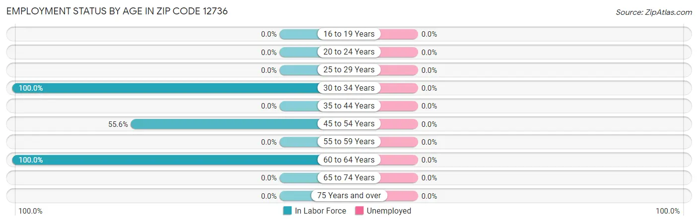 Employment Status by Age in Zip Code 12736