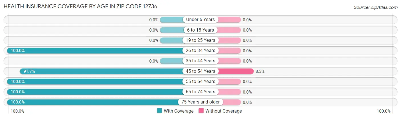 Health Insurance Coverage by Age in Zip Code 12736