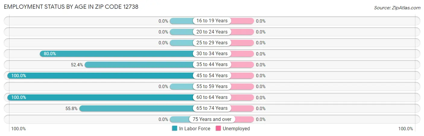 Employment Status by Age in Zip Code 12738