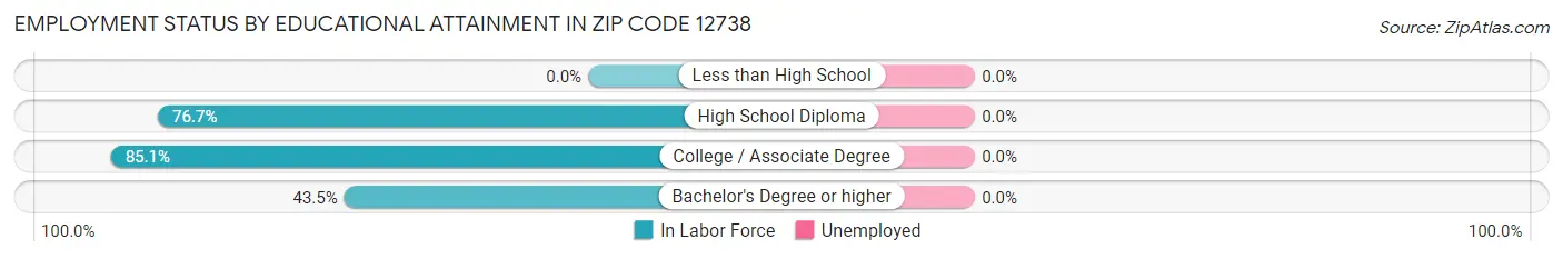 Employment Status by Educational Attainment in Zip Code 12738