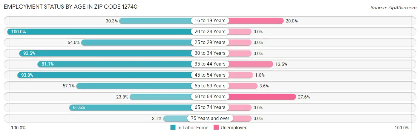 Employment Status by Age in Zip Code 12740