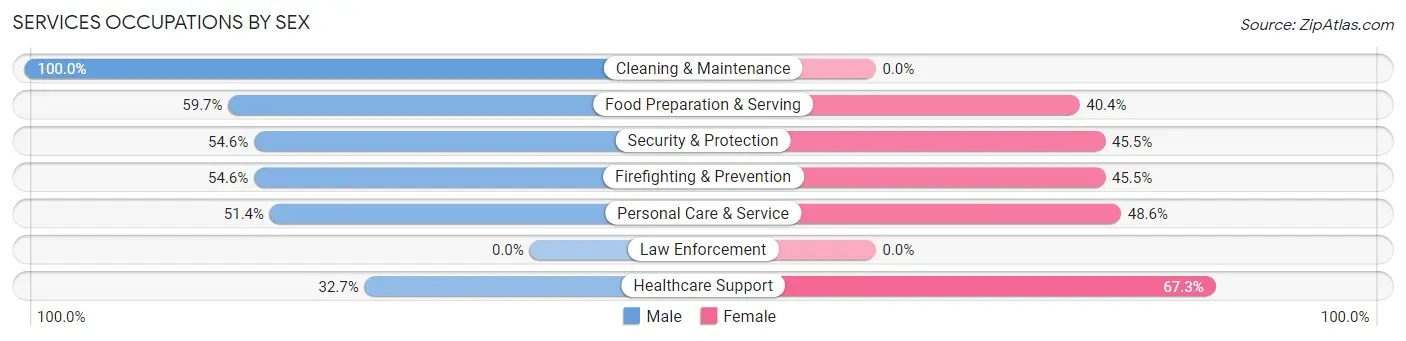 Services Occupations by Sex in Zip Code 12740