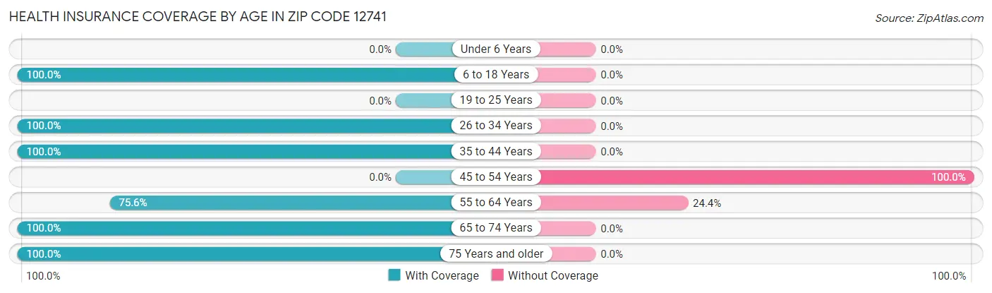 Health Insurance Coverage by Age in Zip Code 12741
