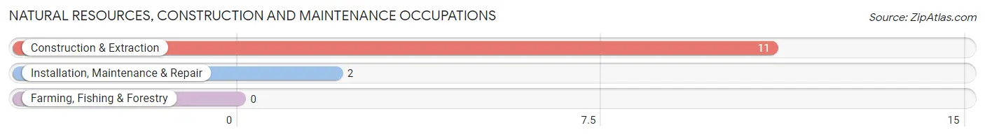 Natural Resources, Construction and Maintenance Occupations in Zip Code 12741