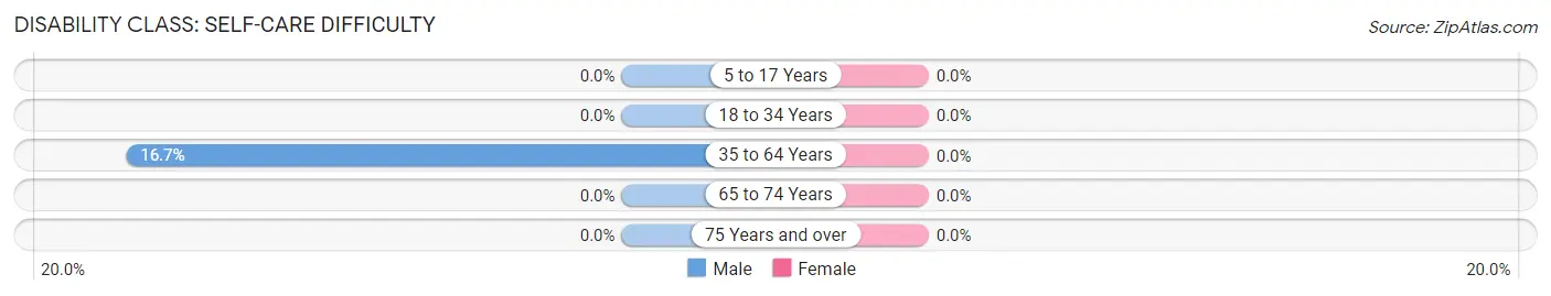 Disability in Zip Code 12741: <span>Self-Care Difficulty</span>