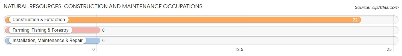 Natural Resources, Construction and Maintenance Occupations in Zip Code 12742