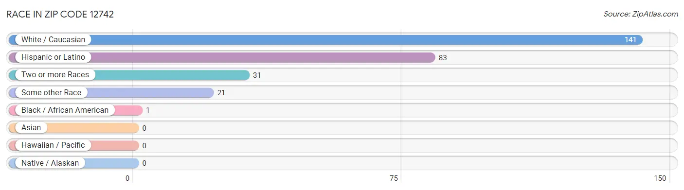 Race in Zip Code 12742