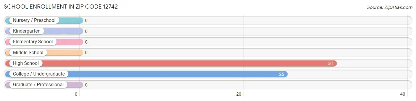 School Enrollment in Zip Code 12742