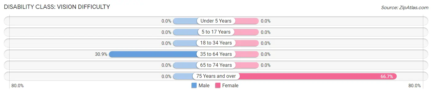 Disability in Zip Code 12742: <span>Vision Difficulty</span>