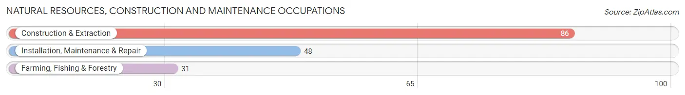 Natural Resources, Construction and Maintenance Occupations in Zip Code 12747