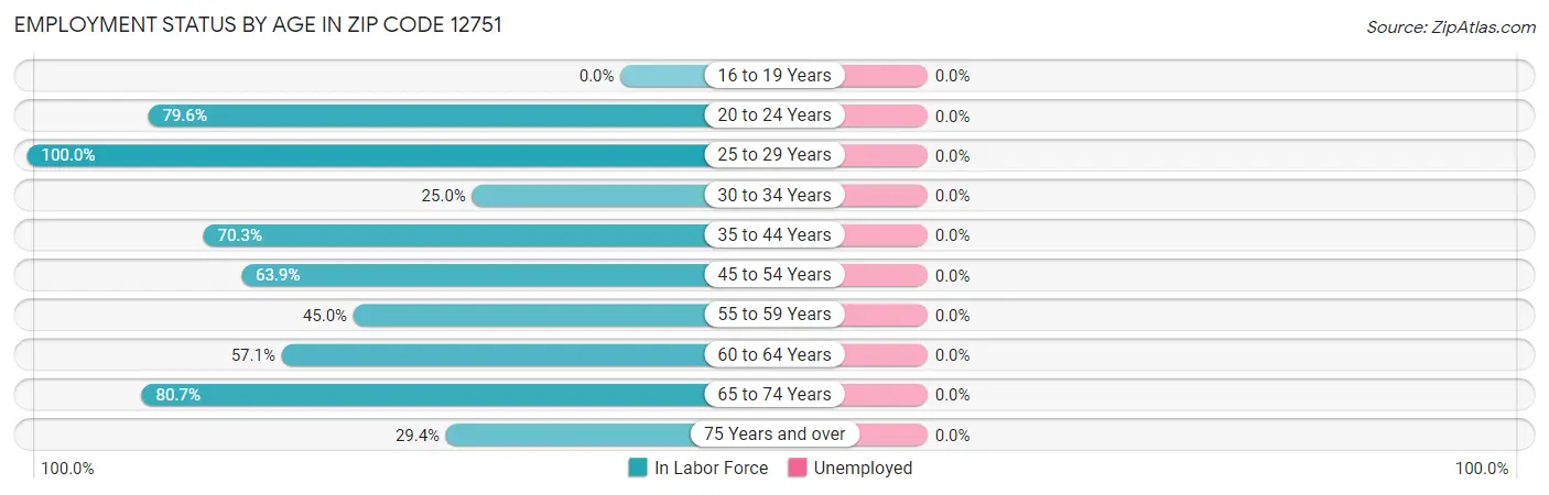 Employment Status by Age in Zip Code 12751