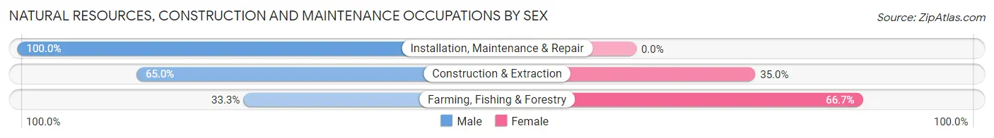Natural Resources, Construction and Maintenance Occupations by Sex in Zip Code 12758