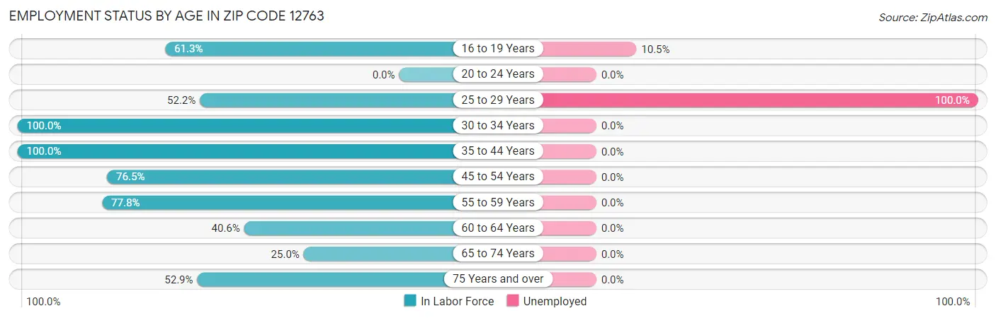 Employment Status by Age in Zip Code 12763