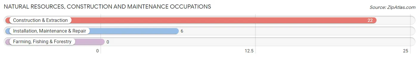 Natural Resources, Construction and Maintenance Occupations in Zip Code 12763