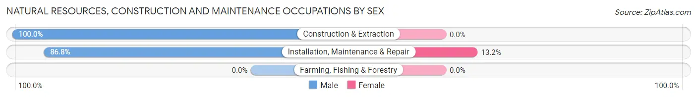 Natural Resources, Construction and Maintenance Occupations by Sex in Zip Code 12764