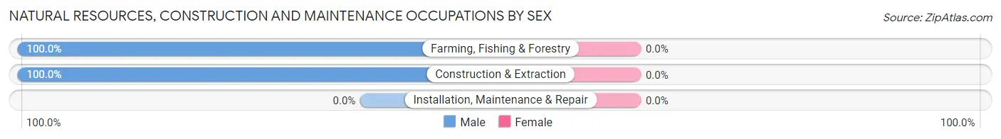 Natural Resources, Construction and Maintenance Occupations by Sex in Zip Code 12768