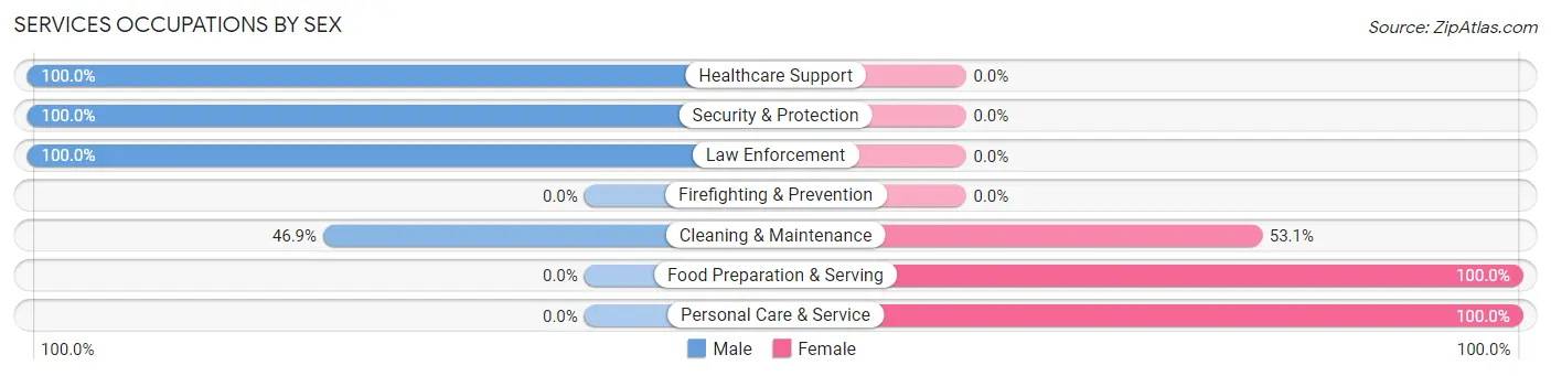 Services Occupations by Sex in Zip Code 12783