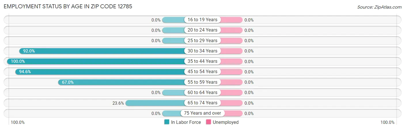 Employment Status by Age in Zip Code 12785