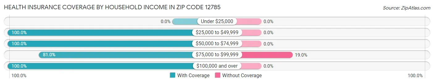 Health Insurance Coverage by Household Income in Zip Code 12785